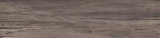 ABK DOLPHIN Fliese 40x170 | Coal