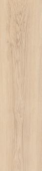 Caesar FABULA Fliese 30x120 | Robur