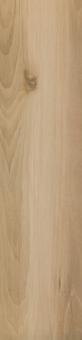 Caesar LIFE Fliese 20x120 | Nordic | Matt