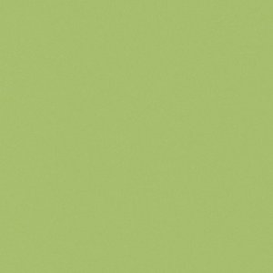 Casalgrande ARCHITECTURE NATURALE Fliese 60x120 9,4MM | Acid Green