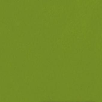 Casalgrande CALEIDOSCOPIO Fliese 20x20 | Pistacchio