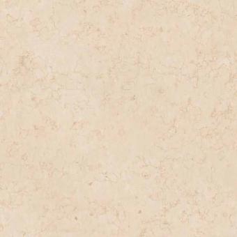 Casalgrande MARMOKER LUCIDO Fliese 45x90 | Silvia Oro