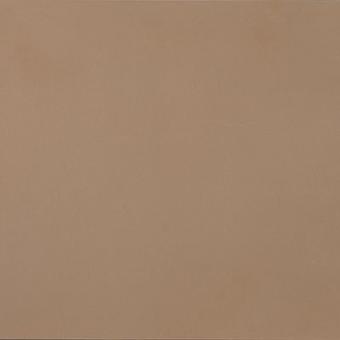 Casalgrande R-EVOLUTION Fliese 60x60 | Terra