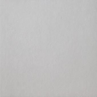 Casalgrande SPAZIO Fliese 75,5x75,5 10MM | Argento