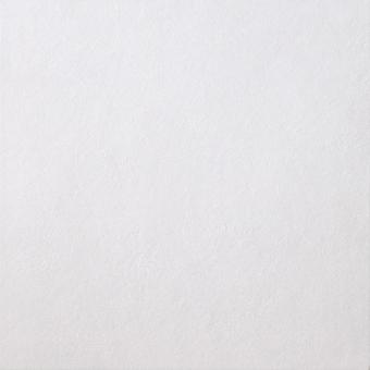 Casalgrande SPAZIO Fliese 37,5x75,5 10MM | Bianco