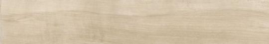 Cerdomus ANTIQUE 20X120 Fliese Oak | Grip