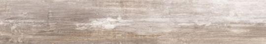 Cerdomus SHINE Fliese Ivory | Naturale