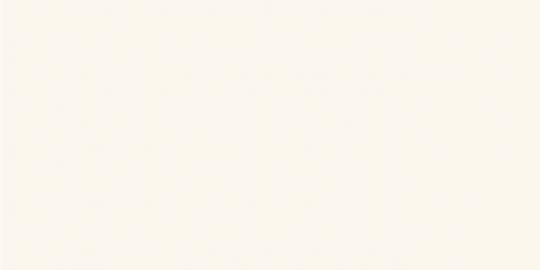 Fondovalle ABSOLUTE Fliese 160x320 | Whtie | Natural