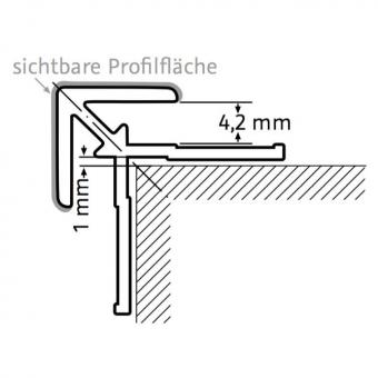 HSK Renodeco Profil 2.550mm Eckprofil außen gerade | Alu silber matt
