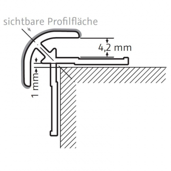HSK Renodeco Profil 2.550mm Eckprofil außen rund | Alu silber-matt