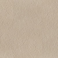 Imola MICRON 2.0 Fliese 30x60 | Beige | Bocciardato