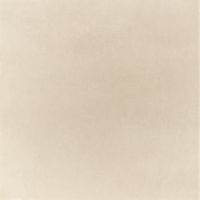 Imola MICRON 2.0 Fliese 60x120 | Almond | Levigato