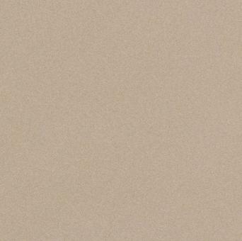 Imola PARADE Fliese 60x60 | Beige (1) | Levigato