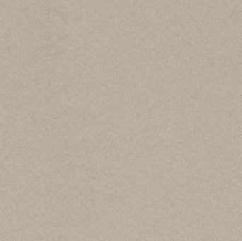 Imola PARADE Fliese 60x60 | Silver (1) | Naturale