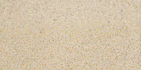 Imola PARADE Fliese 60x60 | Almond (2) | Naturale R11 B+C