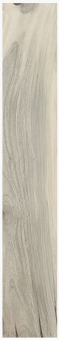 La Fabbrica KAURI LAPPATO (Teilpoliert) 20 x 120 cm Fliese Catlins