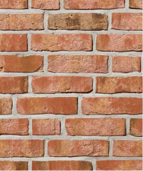 Röben Klinkerriemchen MOORBRAND Lehm-Bunt | 240 x 14 x 71 mm