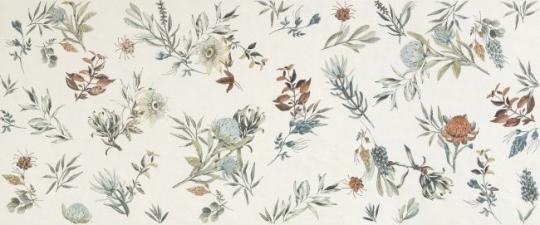 Marca Corona MIRABILIA Fliese 50x120 | Clorofilla