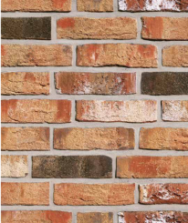 Röben Klinkerriemchen MOORBRAND Torf-Bunt | 240 x 14 x 71 mm