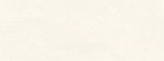 Naxos SURFACE Wandfliese 31,2x79,7 | Talc
