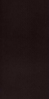NEPTUN Fliese Negro | 60 x 60 cm