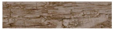 Ceracasa STONEWOOD Fliese Noce | 24.5 x 98.2 cm 