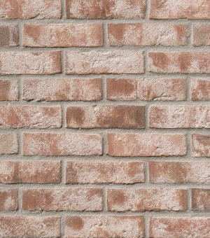 Röben Klinkerriemchen MOORBRAND Reet-Bunt | 240 x 14 x 71 mm