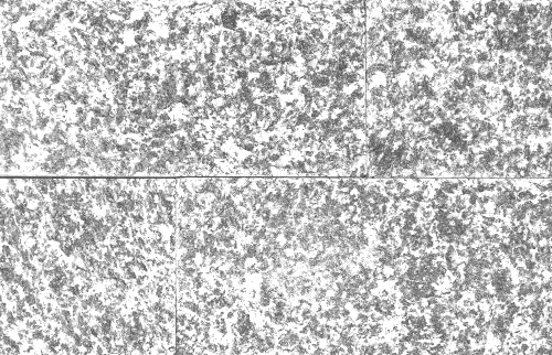 SIMPLON WHITE Granitverblender, beidseitig gespalten 15x31cm, 1.Sorte 