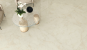 morepic-1
