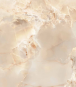morepic-1